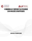 中国硼酸冰片滴耳液行业市场规模及未来投资方向研究报告