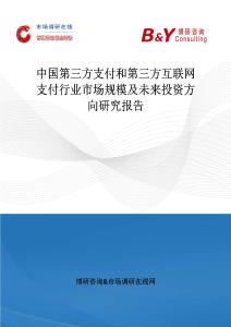 中國第三方支付和第三方互聯網支付行業市場規模及未來投資方向研究報告