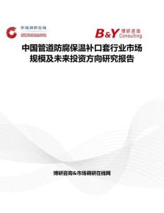 中國管道防腐保溫補(bǔ)口套行業(yè)市場規(guī)模及未來投資方向研究報告