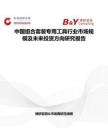 中國組合套裝專用工具行業市場規模及未來投資方向研究報告