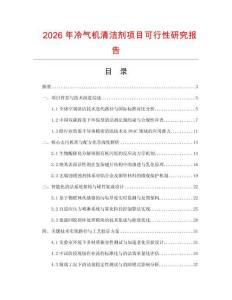 2026年冷氣機清潔劑項目可行性研究報告