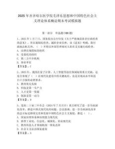2025年齊齊哈爾醫學院毛澤東思想和中國特色社會主義理論體系概論期末考試模擬題及答案（奪冠）