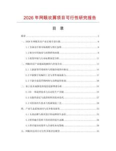 2026年網眼坎肩項目可行性研究報告