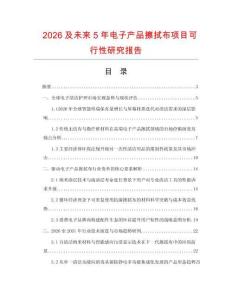 2026及未來5年電子產品擦拭布項目可行性研究報告
