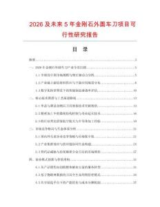 2026及未来5年金刚石外圆车刀项目可行性研究报告