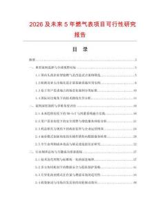 2026及未來5年燃氣表項目可行性研究報告