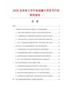2026及未來5年葉輪流量計項目可行性研究報告