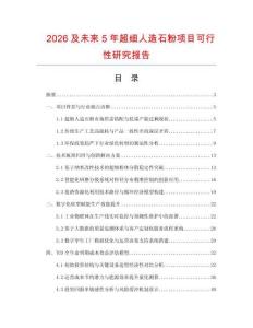 2026及未來5年超細人造石粉項目可行性研究報告