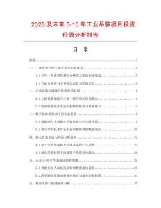 2026及未來5-10年工業(yè)吊裝項目投資價值分析報告