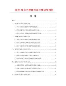 2026年合力橋項目可行性研究報告