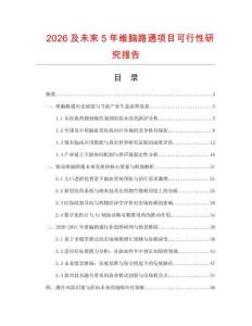 2026及未來5年維腦路通項目可行性研究報告