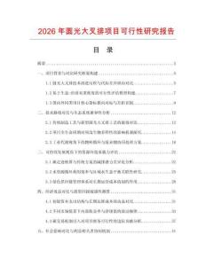 2026年圓光大叉排項目可行性研究報告