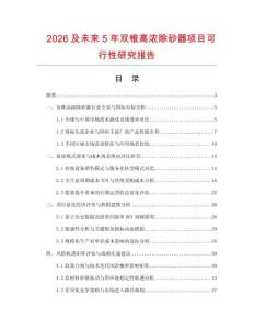 2026及未來5年雙錐高濃除砂器項目可行性研究報告