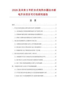 2026及未來5年貯水式電熱水器出水斷電開關項目可行性研究報告