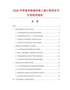 2026年單級單吸軸向吸入離心泵項目可行性研究報告