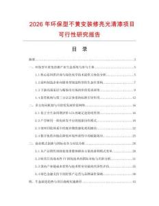 2026年环保型不黄变装修亮光清漆项目可行性研究报告