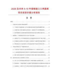 2026及未來5-10年插銷接口三角圓架項目投資價值分析報告