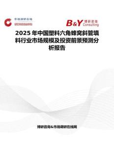 2025年中國塑料六角蜂窩斜管填料行業(yè)市場規(guī)模及投資前景預(yù)測分析報告