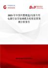 2025年中國外置硬盤 光驅專用電源行業(yè)市場規(guī)模及投資前景預測分析報告