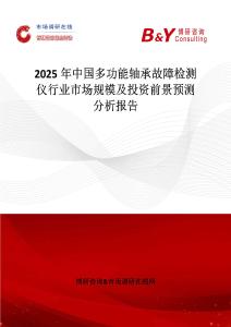 2025年中國多功能軸承故障檢測儀行業市場規模及投資前景預測分析報告
