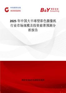 2025年中國大半球型彩色攝像機行業市場規模及投資前景預測分析報告