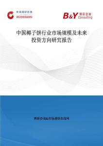 中国椰子饼行业市场规模及未来投资方向研究报告