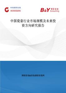中國瓷套行業市場規模及未來投資方向研究報告
