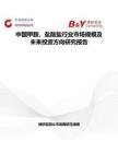 中国甲胺，盐酸盐行业市场规模及未来投资方向研究报告