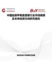 中国盐酸甲氧氯普胺行业市场规模及未来投资方向研究报告