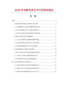 2026年潔廁靈項目可行性研究報告