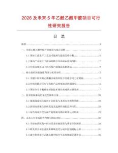 2026及未來5年乙酰乙酰甲胺項目可行性研究報告