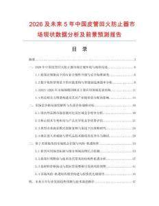 2026及未來5年中國皮管回火防止器市場現狀數據分析及前景預測報告