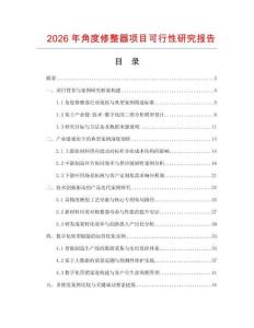 2026年角度修整器项目可行性研究报告