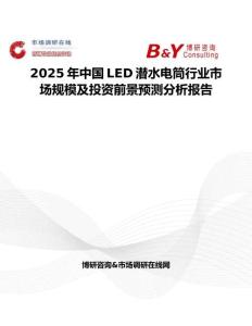 2025年中国LED潜水电筒行业市场规模及投资前景预测分析报告