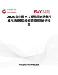2025年中國M.2便攜固態(tài)硬盤行業(yè)市場規(guī)模及投資前景預(yù)測分析報(bào)告