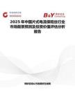 2025年中国片式电流保险丝行业市场前景预测及投资价值评估分析报告