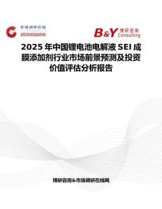 2025年中国锂电池电解液SEI成膜添加剂行业市场前景预测及投资价值评估分析报告