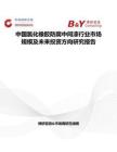 中国氯化橡胶防腐中间漆行业市场规模及未来投资方向研究报告