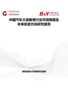 中國汽車大梁板卷行業市場規模及未來投資方向研究報告