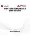 中國汽車貸款行業市場規模及未來投資方向研究報告