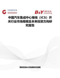 中國汽車集成中心堆棧（ICS）開關行業市場規模及未來投資方向研究報告