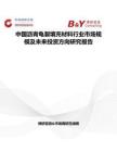 中國瀝青龜裂填充材料行業市場規模及未來投資方向研究報告