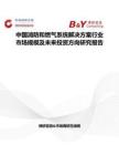 中國消防和燃氣系統解決方案行業市場規模及未來投資方向研究報告