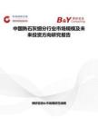 中國熟石灰細分行業(yè)市場規(guī)模及未來投資方向研究報告
