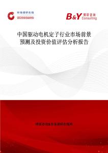 中國驅動電機定子行業市場前景預測及投資價值評估分析報告