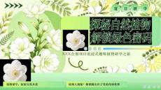 2026中小學生夏日沉浸式趣味植物研學之旅主題活動策劃方案