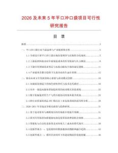 2026及未來5年平口沖口袋項目可行性研究報告