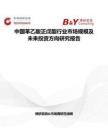 中國(guó)苯乙酸正戊酯行業(yè)市場(chǎng)規(guī)模及未來投資方向研究報(bào)告