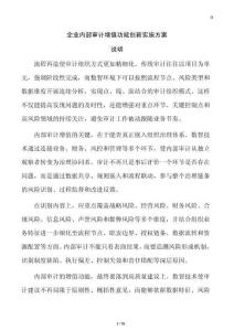 企業(yè)內(nèi)部審計(jì)增值功能創(chuàng)新實(shí)施方案