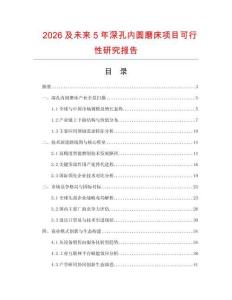 2026及未来5年深孔内圆磨床项目可行性研究报告